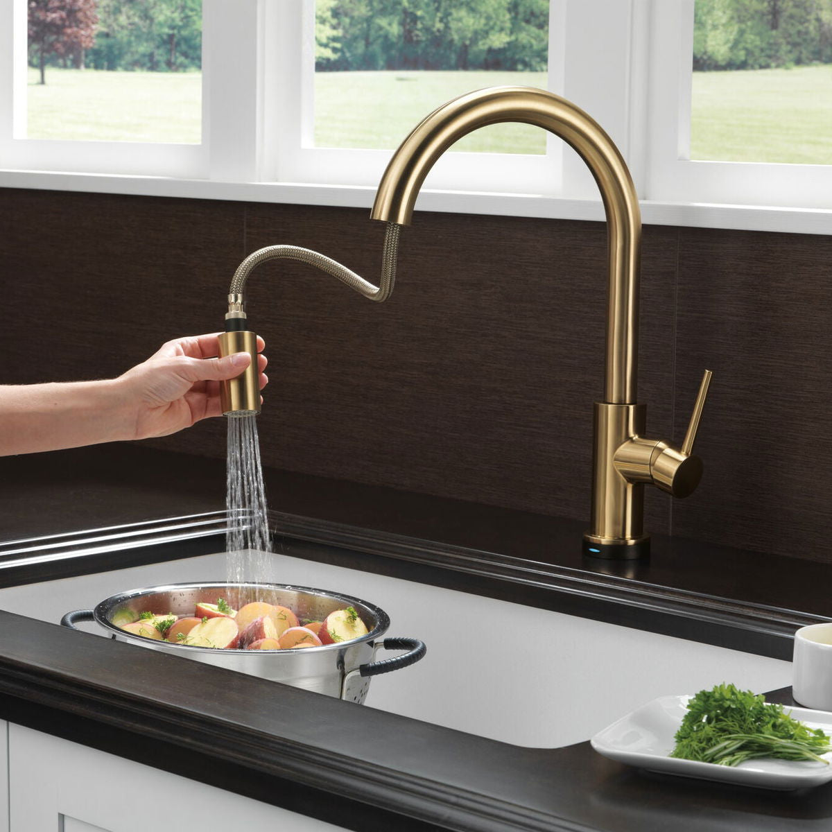 Monomando de Cocina Pull - Down con Tecnología Touch2o® Trinsic Delta - jamesandstevenmx