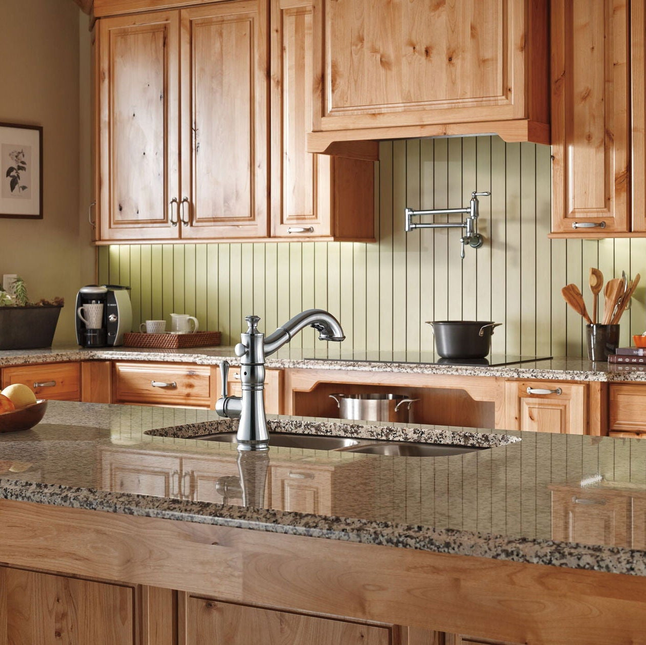 Pot Filler de Cocina de Pared- Delta - jamesandstevenmx